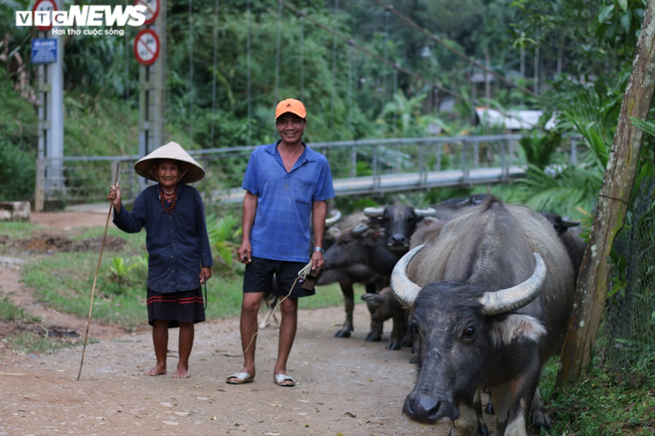 Làng ‘bệnh lạ’ hồi sinh - 4