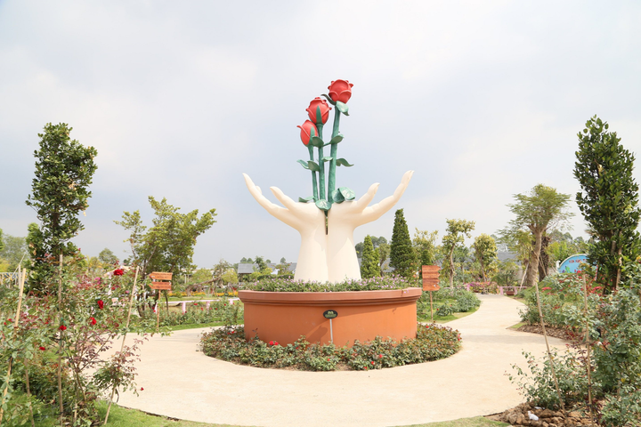 Thăng trầm làng hoa Sa Đéc: Chuyện về Vườn hồng Tư Tôn lừng danh một thời - 1