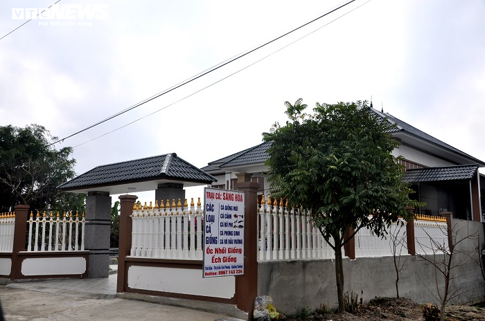 Làng nuôi cá chép đỏ xứ Thanh kiếm bộn tiền ngày giáp Tết - 10