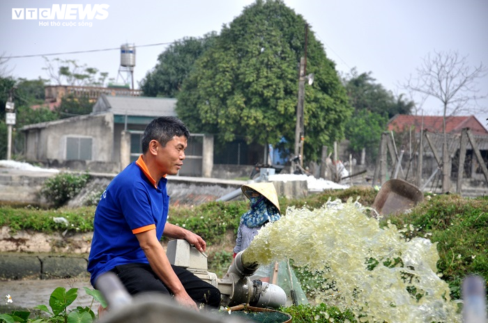 Làng nuôi cá chép đỏ xứ Thanh kiếm bộn tiền ngày giáp Tết - 3