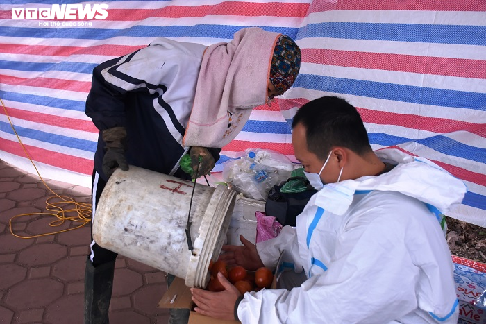 Cà chua chín đỏ đồng đúng dịch COVID-19, nông dân Chí Linh đứng ngồi không yên - 15