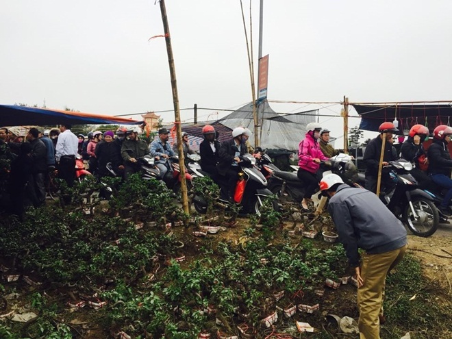 Những phiên chợ một năm chỉ mở một lần của người Việt - 5