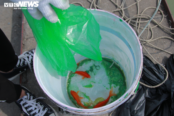 Nhóm bạn trẻ giúp dân Hà Nội thả cá chép, không vứt túi nilon xuống sông Hồng - 7