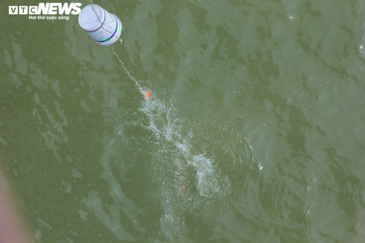 Nhóm bạn trẻ giúp dân Hà Nội thả cá chép, không vứt túi nilon xuống sông Hồng - 9