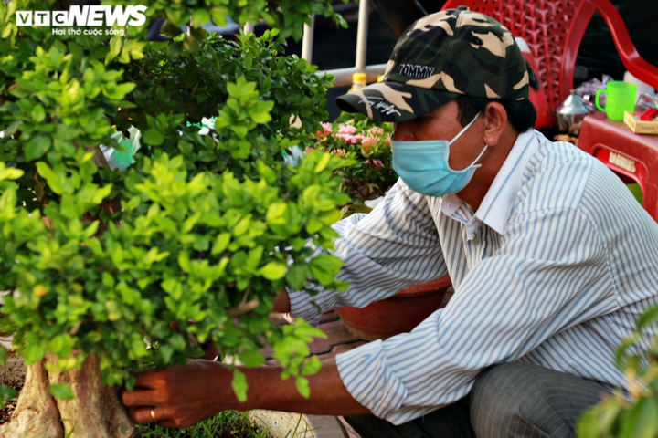 Ảnh: Rực rỡ chợ hoa 'trên bến, dưới thuyền' ở Sài Gòn - 5