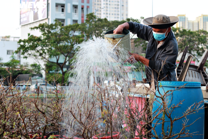 Ảnh: Rực rỡ chợ hoa 'trên bến, dưới thuyền' ở Sài Gòn - 12