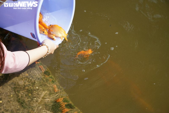 Ảnh: Người Sài Gòn chấp hành đeo khẩu trang, thả cá tiễn Táo quân về trời - 5