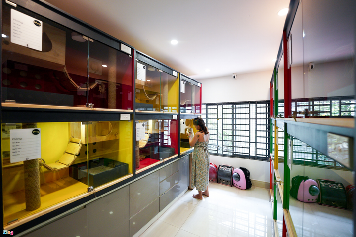 500.000 đồng/ngày gửi chó mèo ở 'khách sạn' dịp Tết - 3