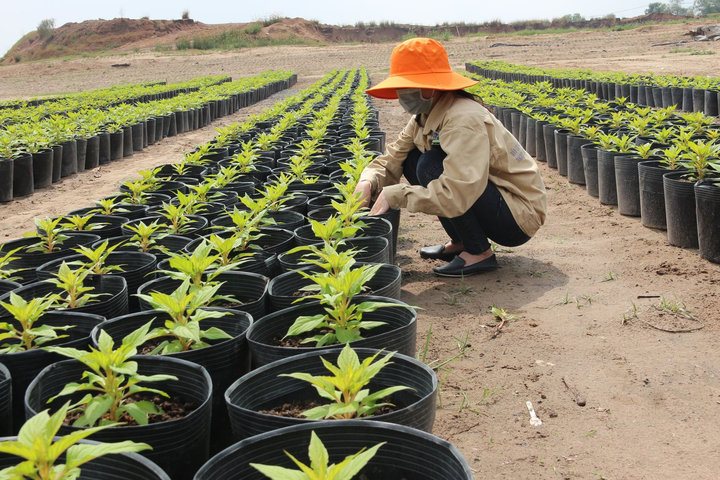 Ông David Dương: 'Sẽ cố gắng để nhân viên có một mùa Xuân ấm no' - 2