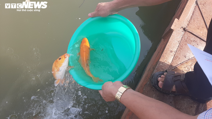 Ảnh: Người Sài Gòn chấp hành đeo khẩu trang, thả cá tiễn Táo quân về trời - 10