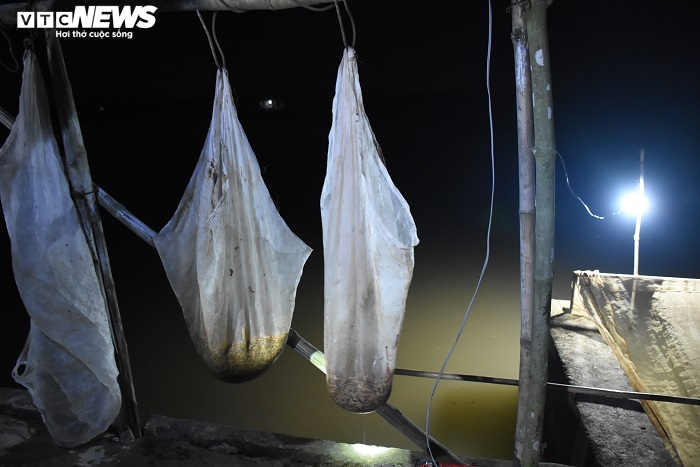 Hạnh phúc của nông dân Hải Dương mùa săn 'lộc trời' - 2