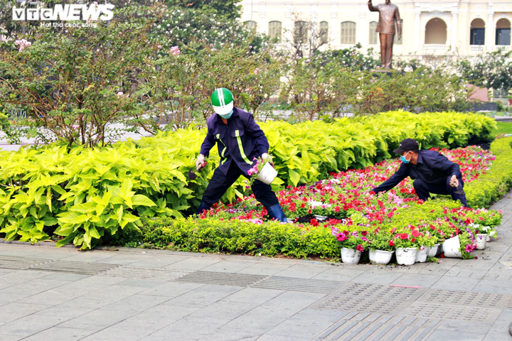 Công nhân gấp rút hoàn thiện những hạng mục cuối cùng của đường hoa Nguyễn Huệ - 4