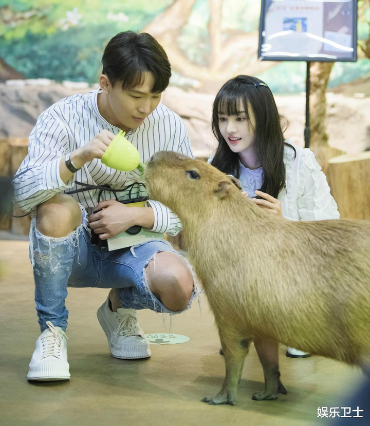 'Cú đánh' từ tình cũ và 18 ngày 'ngã ngựa' của Trịnh Sảng - 2