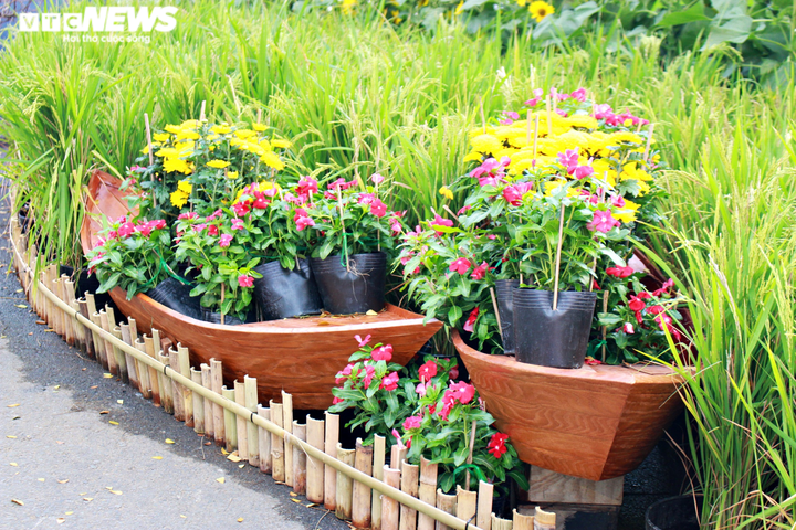 Người dân TP.HCM đeo khẩu trang dạo chơi đường hoa dài 700m ở quận 7 - 13