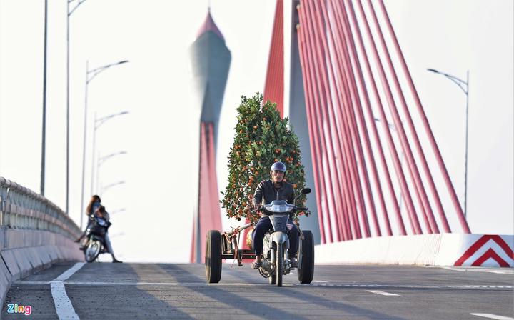 Cận cảnh cây cầu 950 tỷ đồng nối Nghệ An và Hà Tĩnh - 9