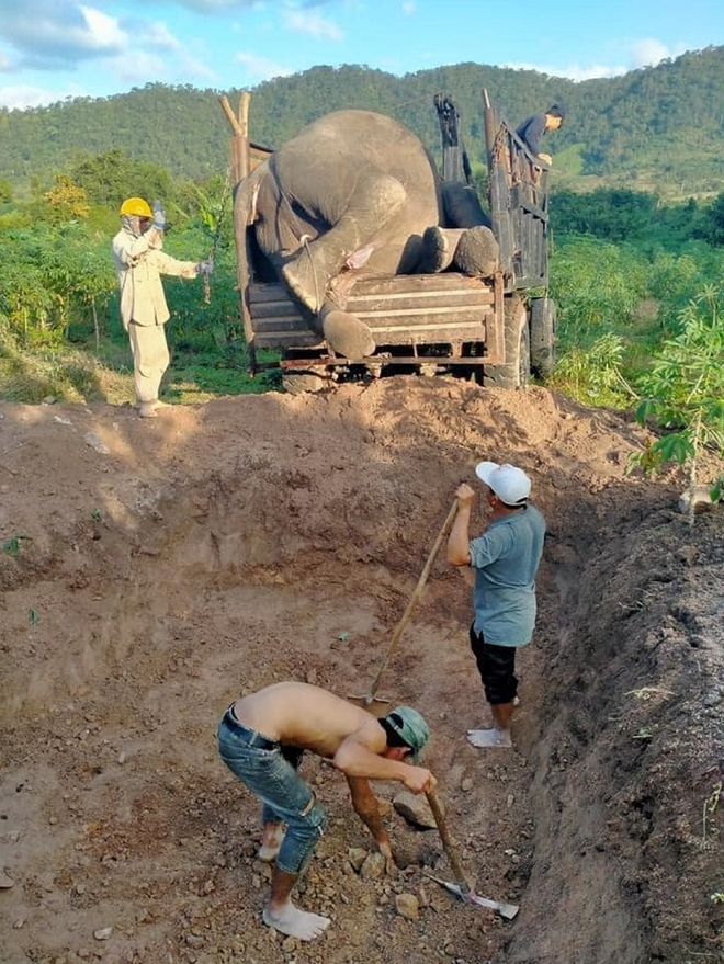 Con voi cuối cùng bên bờ suối Ia Tul - 3