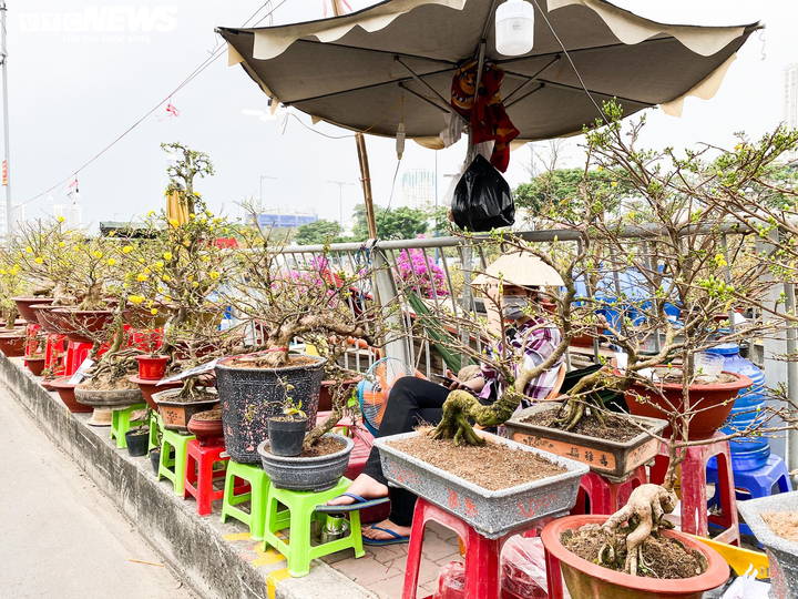 TP.HCM: Chợ hoa Bến Bình Đông đìu hiu, thương nhân thở dài vì ế khách - 5