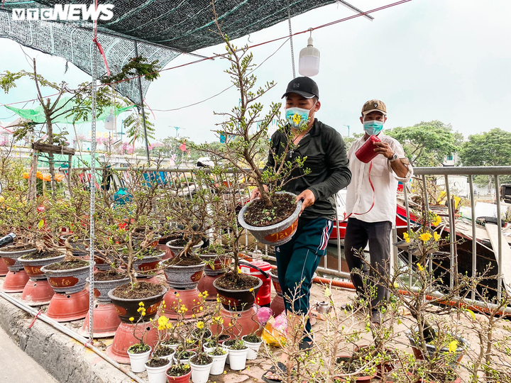 TP.HCM: Chợ hoa Bến Bình Đông đìu hiu, thương nhân thở dài vì ế khách - 7