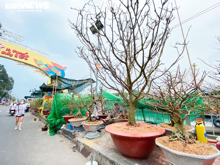 TP.HCM: Chợ hoa Bến Bình Đông đìu hiu, thương nhân thở dài vì ế khách - 2