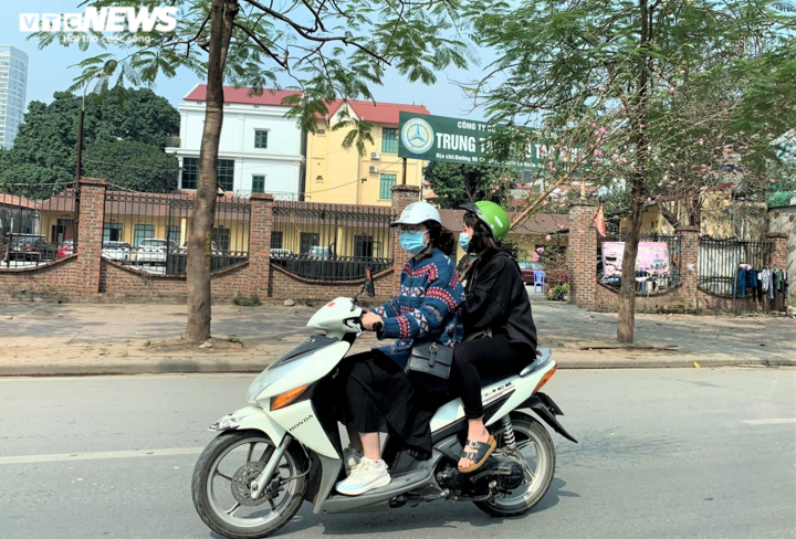 Người Hà Nội chuộng mua đào dáng huyền chơi Tết - 11