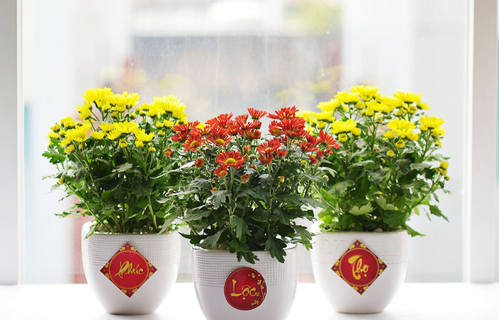 Mẹo trang trí nhà đón Tết tiết kiệm mùa COVID-19 - 4