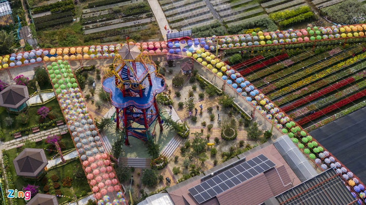 Làng hoa lớn nhất miền Tây lưa thưa vài người ngày giáp Tết - 3