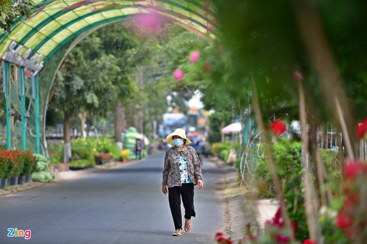 Làng hoa lớn nhất miền Tây lưa thưa vài người ngày giáp Tết - 7