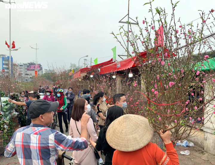 Người Hà Nội chuộng mua đào dáng huyền chơi Tết - 7