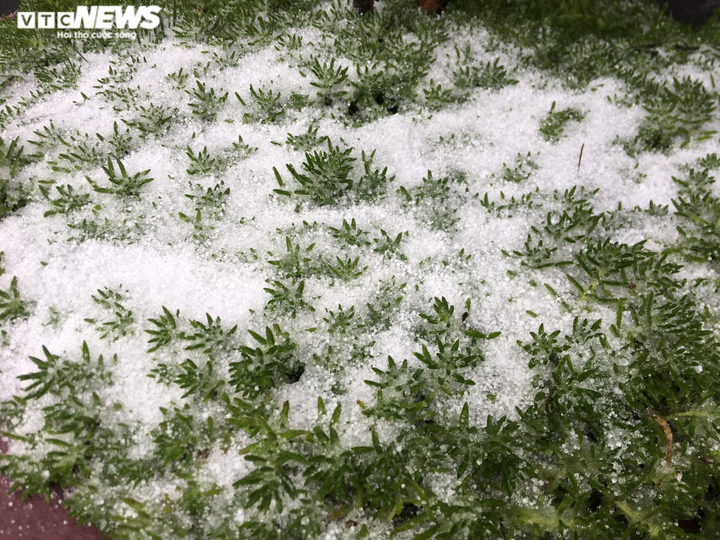 Tuyết rơi bất thường trên đỉnh Fansipan ngày 27 Tết - 6