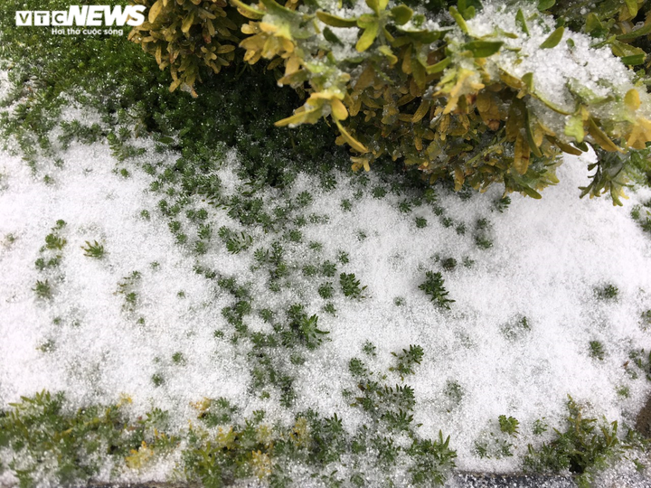 Tuyết rơi bất thường trên đỉnh Fansipan ngày 27 Tết - 5