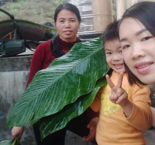 Giáo viên không về quê, ở lại vùng cao chống dịch COVID-19, vui Tết cùng học trò - 1