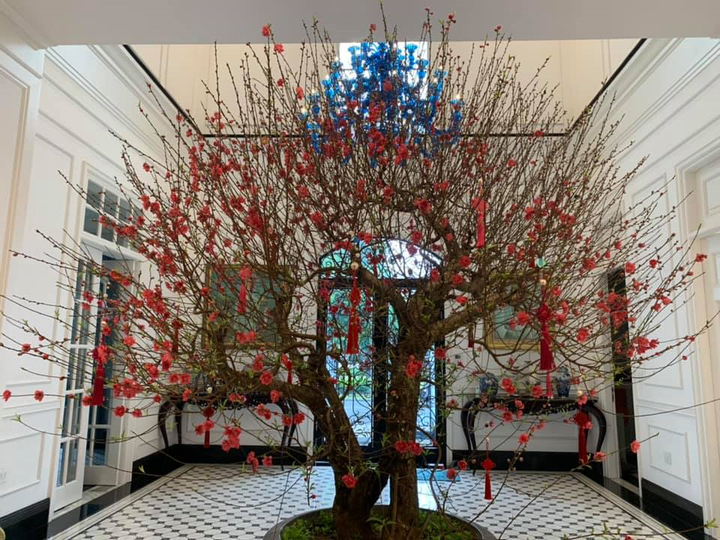 Mê mẩn ngắm không gian sống ngập tràn hoa của đạo diễn Việt Tú - 6