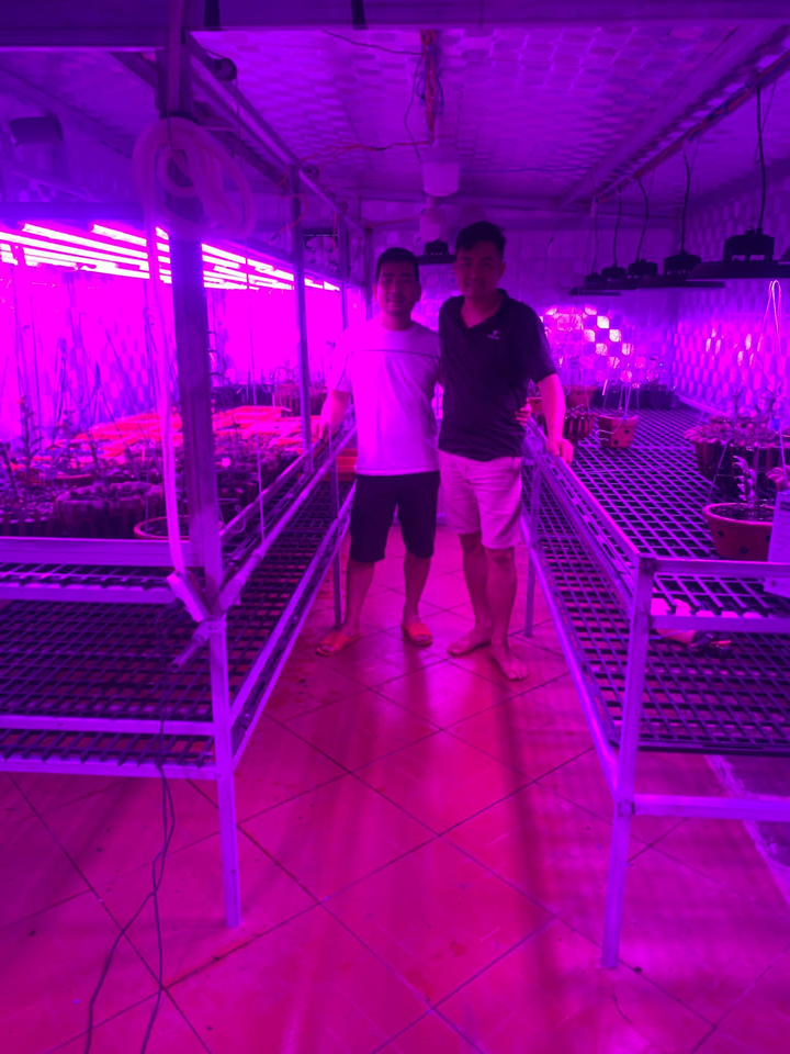 Vườn lan Khánh Nguyễn: Vẻ đẹp và giá trị của dòng hoa lan rừng việt Nam - 3