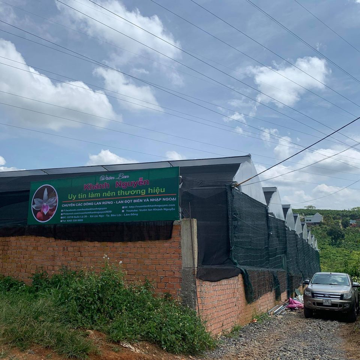 Vườn lan Khánh Nguyễn: Vẻ đẹp và giá trị của dòng hoa lan rừng việt Nam - 4