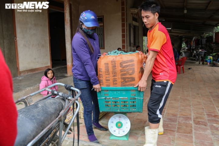 Ảnh: Thăm 'thủ phủ' cam bù nức tiếng ở Hà Tĩnh - 9