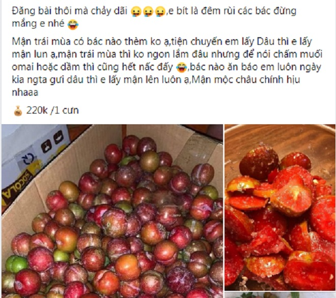 Chị em lùng mua mận Mộc Châu trái mùa siêu đắt, chống ngán dịp Tết - 1