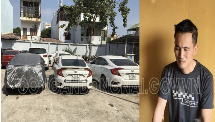 Lợi dụng chức danh Phó Giám đốc công ty để thuê 55 ô tô mang đi cầm cố - 1