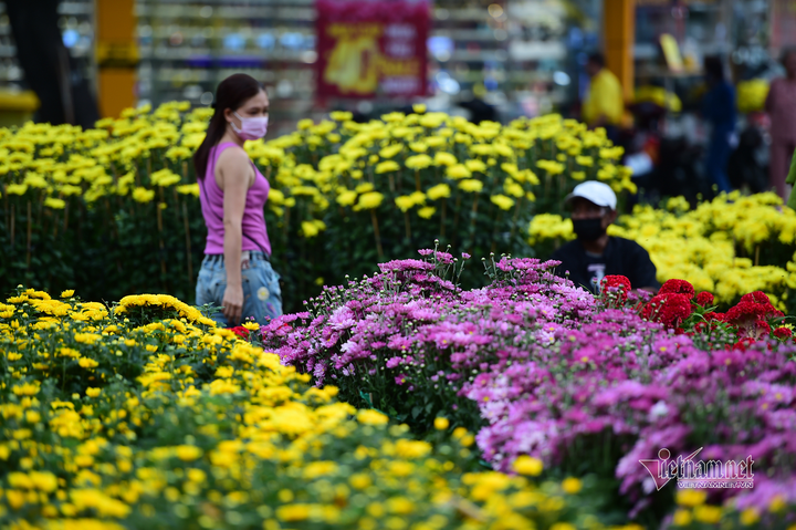 Hoa cảnh TP.HCM ngày giáp Tết: Giá giảm sâu, người mua vẫn thưa vắng - 10
