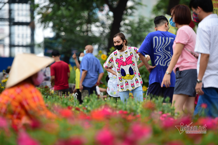 Hoa cảnh TP.HCM ngày giáp Tết: Giá giảm sâu, người mua vẫn thưa vắng - 7