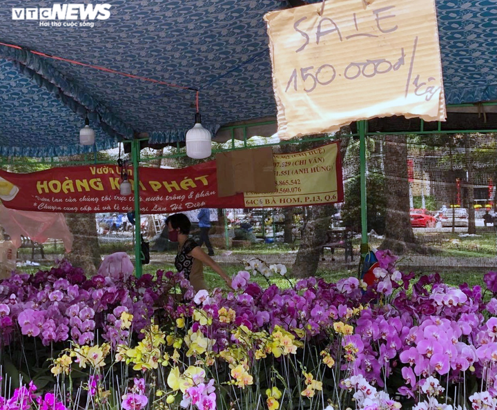 TP.HCM: Hoa Tết đồng loạt giảm giá... vẫn 'đìu hiu' khách mua - 6
