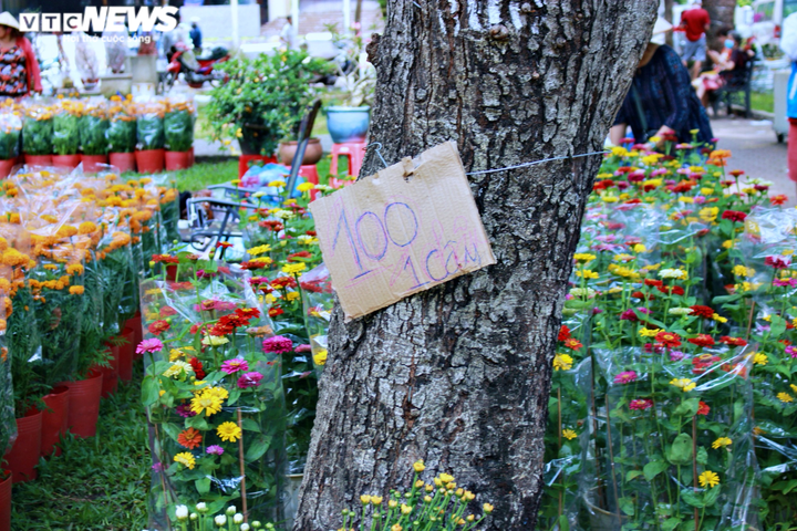 TP.HCM: Hoa Tết đồng loạt giảm giá... vẫn 'đìu hiu' khách mua - 1