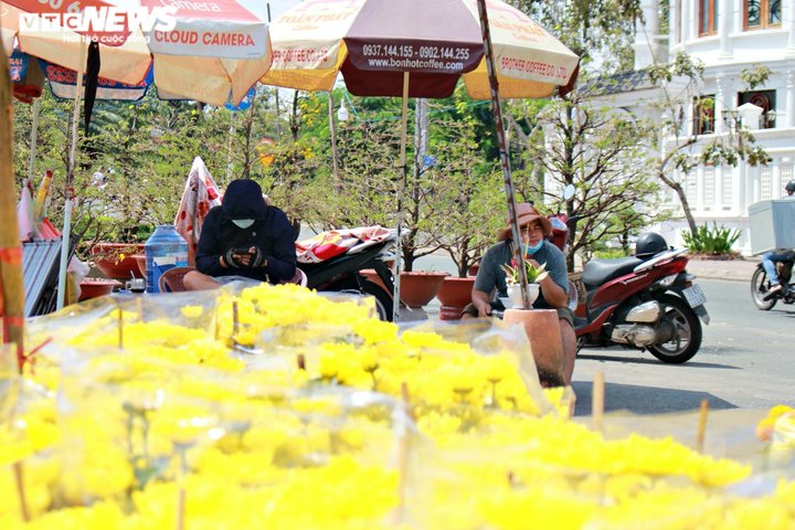 TP.HCM: Hoa Tết đồng loạt giảm giá... vẫn 'đìu hiu' khách mua - 7