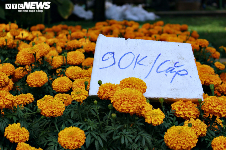 TP.HCM: Hoa Tết đồng loạt giảm giá... vẫn 'đìu hiu' khách mua - 5