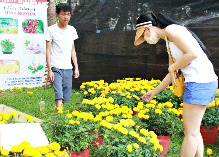 TP.HCM: Hoa Tết đồng loạt giảm giá... vẫn 'đìu hiu' khách mua - 4