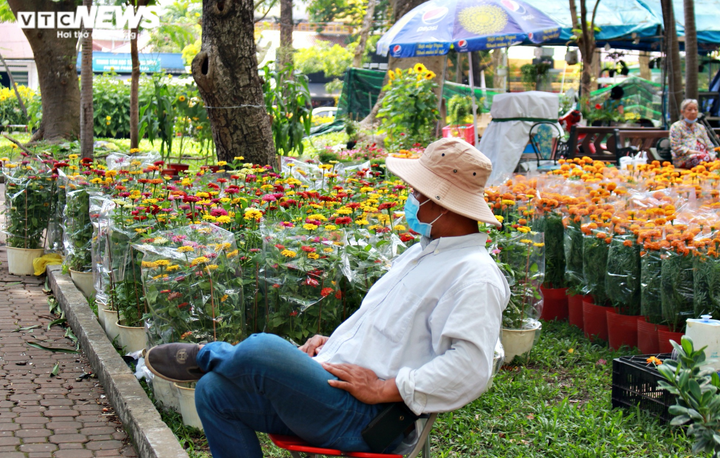 TP.HCM: Hoa Tết đồng loạt giảm giá... vẫn 'đìu hiu' khách mua - 3