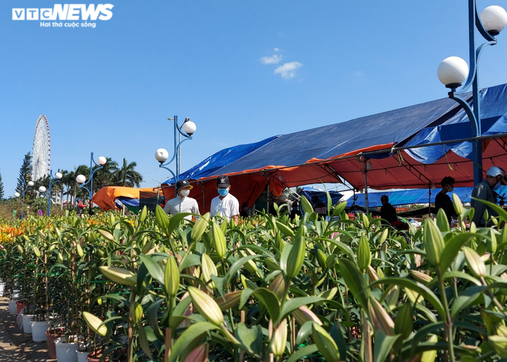 Chiều 30 Tết, người buôn hoa ở Đà Nẵng bán đổ bán tháo vì vắng khách mua - 1