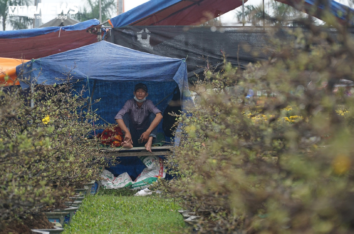 Chiều 30 Tết, người buôn hoa ở Đà Nẵng bán đổ bán tháo vì vắng khách mua - 4