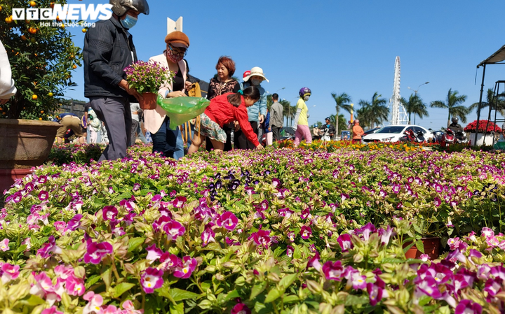 Chiều 30 Tết, người buôn hoa ở Đà Nẵng bán đổ bán tháo vì vắng khách mua - 5