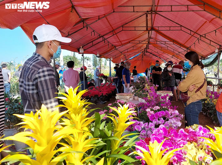 Chiều 30 Tết, người buôn hoa ở Đà Nẵng bán đổ bán tháo vì vắng khách mua - 6