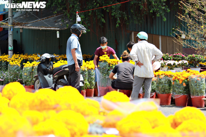 TP.HCM: Hoa Tết đồng loạt giảm giá... vẫn 'đìu hiu' khách mua - 9